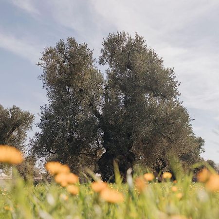 Masseria San Lorenzo Resort Fasano Luaran gambar