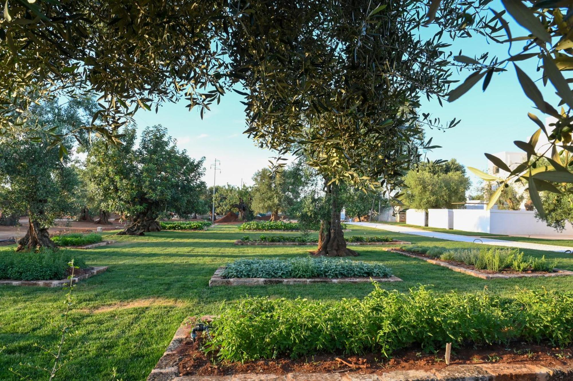 Masseria San Lorenzo Resort Fasano Luaran gambar